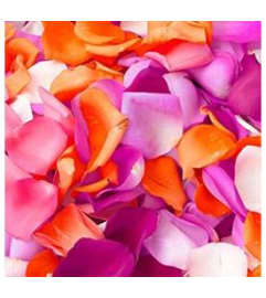 Fresh Rose Petals - BOX. An arrangement by Triple A Florist.