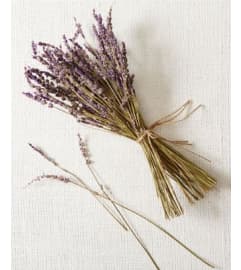 Dry Lavender. An arrangement by Triple A Florist.