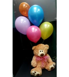 BALLOON BEAR. An arrangement by Grower Direct Acadia.