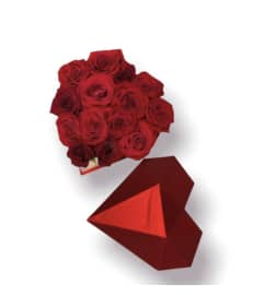Diamond Love. An arrangement by Amazing Flowers.
