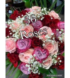 Show off. An arrangement by DMP Flowers and Gifts.