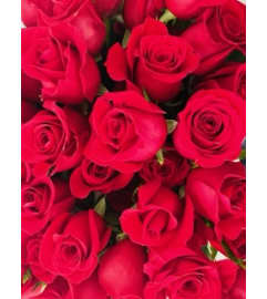 Six Beautiful red Roses!. An arrangement by My Mother's Bloomers.