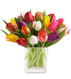 Glorious Tulip Bouquet. An arrangement by Mardi Gras Florist.