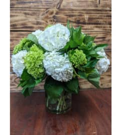 Hydrangea Harmony. An arrangement by NJ Bergen Florist At Northvale.
