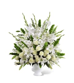 MF Morning Stars. An arrangement by Magic Flowers Inc.. MF Morning Stars. An arrangement by Magic Flowers Inc..