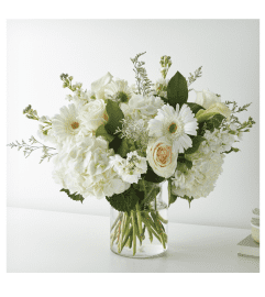 Vanilla Blossom. An arrangement by Floral Insight.