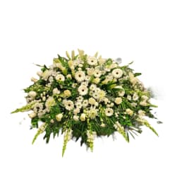 Vanilla fields. An arrangement by DMP Flowers and Gifts.