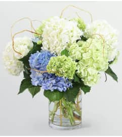 I Love Hydrangeas. An arrangement by Seasons Change Designs.