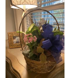 The Deluxe Dish Garden. An arrangement by Seasons Change Designs.