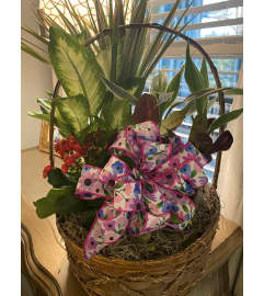 Premium Dish Garden. An arrangement by Seasons Change Designs.