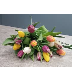 15 Glorious Tulips. An arrangement by Harriet's Flower and Gift Shop. 15 Glorious Tulips. An arrangement by Harriet's Flower and Gift Shop.