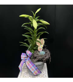 Marivel's Easter Bunny Nest. An arrangement by Marivel's Florist and Gifts.