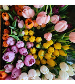 EASTER TULIP BUNCH. An arrangement by A Loving Touch Florist. EASTER TULIP BUNCH. An arrangement by A Loving Touch Florist.