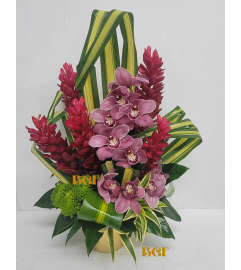 Cymbidium Tropical Grace. An arrangement by Brickell Exclusive Blooms.