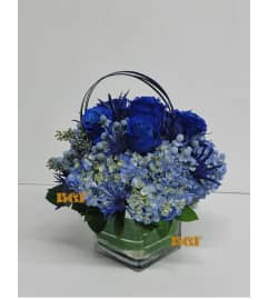 Sweet Blues in Cube. An arrangement by Brickell Exclusive Blooms. Sweet Blues in Cube. An arrangement by Brickell Exclusive Blooms.