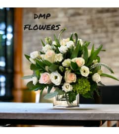Blush and white beauty. An arrangement by DMP Flowers and Gifts.
