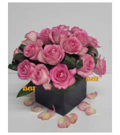 Pink Roses Dream in a Cube. An arrangement by Brickell Exclusive Blooms. Pink Roses Dream in a Cube. An arrangement by Brickell Exclusive Blooms.