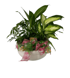 White Elite Ceramic Planter. An arrangement by Timp Valley Floral.