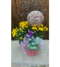 You're Mum-believable. An arrangement by KW Flowers.