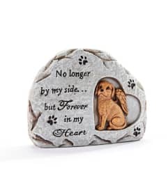 Small Pet Stone- dog. An arrangement by The Flower Hut.