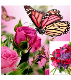 CUSTOM SHADES OF PINK BUTTERFLY BOUQUET. An arrangement by A Loving Touch Florist.