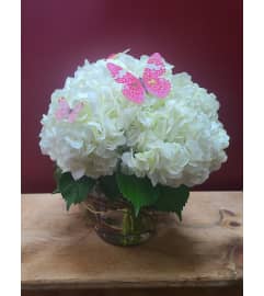 Marshmallow Petals. An arrangement by KW Flowers.