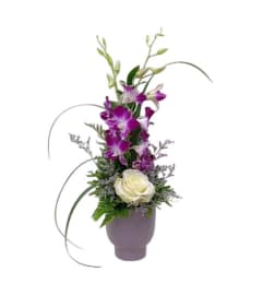 Orchid Blooms. An arrangement by Fendley Florists.