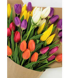 Ontario Tulips By The Bunch. An arrangement by Flowers By Gerry.
