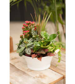 Blooming Planter Arrangement. An arrangement by Marvellous Florist.