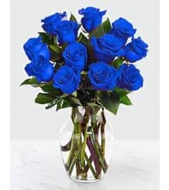 Blue Royal Roses. An arrangement by Lake Eola Florist.