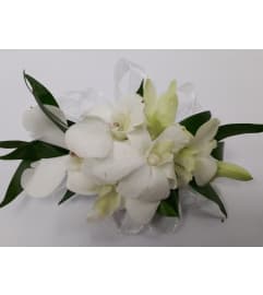Corsage with Dendero Orchids. An arrangement by Jennifer's Flowers and Gifts.