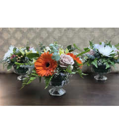 Designer's Choice Compote. An arrangement by Holden's Florists.