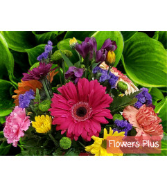 Florist Choice Wrapped Seasonal Bouquet. An arrangement by Flowers Plus.