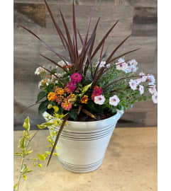 Florist Choice Outdoor Patio Garden. An arrangement by Floral Inspirations.