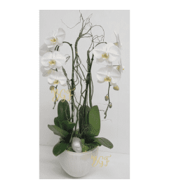 Unique Orchid Paradise. An arrangement by Brickell Exclusive Blooms.
