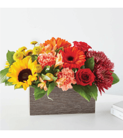 Autumn Orchard. An arrangement by Floral Insight.