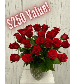 24 Premium Red Roses (IF). An arrangement by Incredible Florist Seton. 24 Premium Red Roses (IF). An arrangement by Incredible Florist Seton.