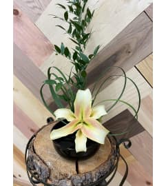 Lily Tranquility. An arrangement by Consider the Lilies.