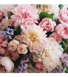 Designers Choice Beautifully Blush. An arrangement by Wildflower Artistry.