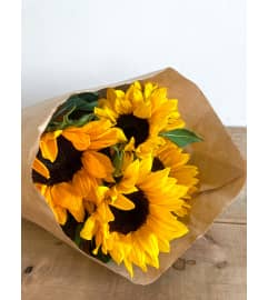 Sunny Surprise. An arrangement by Mayfield Flowers.
