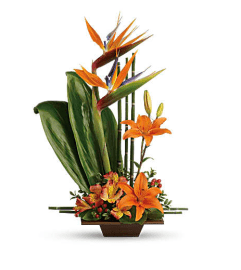 Garden Exotic Grace. An arrangement by Garden Florist.