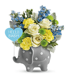Garden Hello Sweet Baby - Blue. An arrangement by Garden Florist.