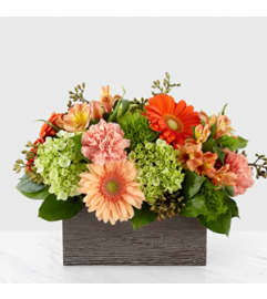 Farmhouse Fun. An arrangement by Dupree's Root 88 Garden Center and Florist.