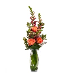 Oranges of Fall. An arrangement by Deer Valley Florist and Flower Delivery. Oranges of Fall. An arrangement by Deer Valley Florist and Flower Delivery.