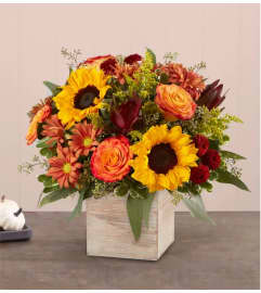 fall escape. An arrangement by Last Minute Gifts and Flowers.