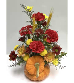 Harvest Mini Pumpkin Bouquet (Real Pumkin). An arrangement by Roma Flowers and Gifts. Harvest Mini Pumpkin Bouquet (Real Pumkin). An arrangement by Roma Flowers and Gifts.