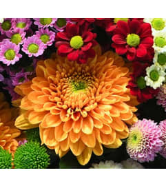 HOMECOMING BOUQUET. An arrangement by Flowers by Priscilla.