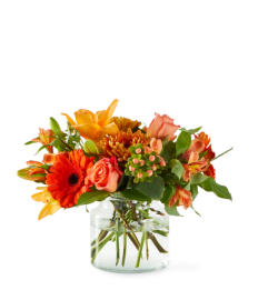 Fall Bloom Vase. An arrangement by Blue Ridge Flowers. Fall Bloom Vase. An arrangement by Blue Ridge Flowers.