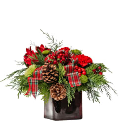 Winter Plaid. An arrangement by Deer Valley Florist and Flower Delivery.