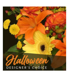 Designers Choice Halloween. An arrangement by Jennings Florists.